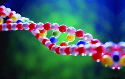 Экспертиза на родство по ДНК